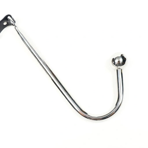 Anal Collar EverydayUse 5853 with and Hook Kinky Leash 0106